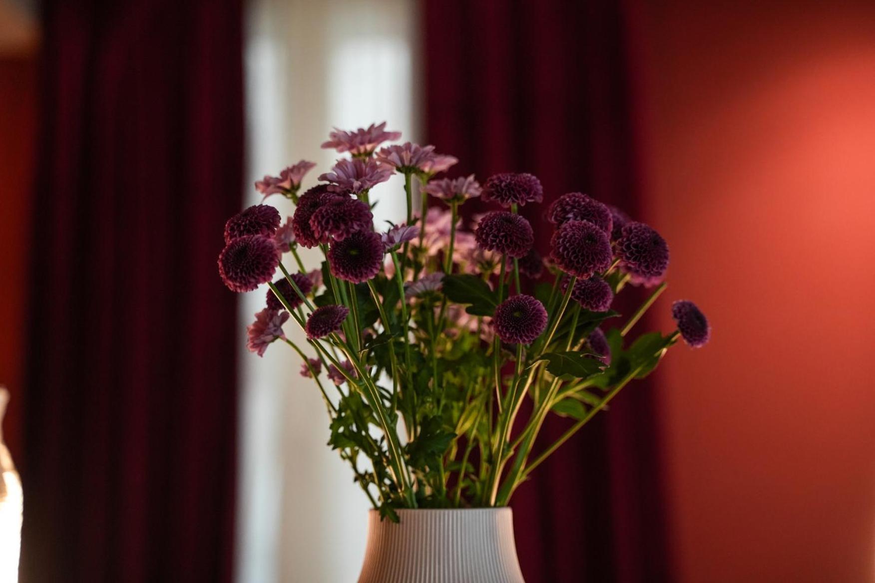 モデナ Sant'Eufemia 30 Bed & Breakfast エクステリア 写真